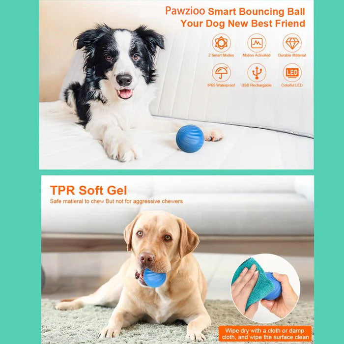 🐶 The Smart Rolling Pet Toy Ball That Keeps Your Pet Active & Happy All Day! ⚡