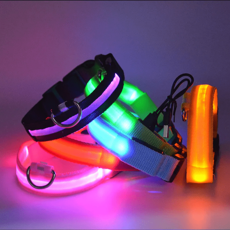 Pawzioo™ High-Brightness LED Dog Collar – Durable & Rechargeable