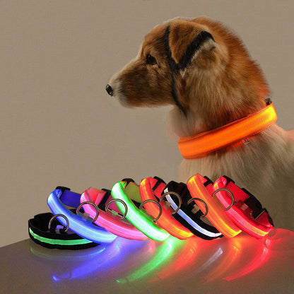 Pawzioo™ High-Brightness LED Dog Collar – Durable & Rechargeable