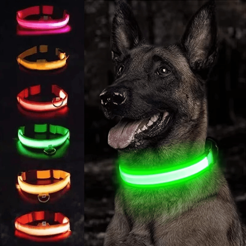Pawzioo™ High-Brightness LED Dog Collar – Durable & Rechargeable