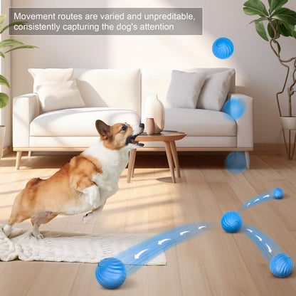 🐶 The Smart Rolling Pet Toy Ball That Keeps Your Pet Active & Happy All Day! ⚡